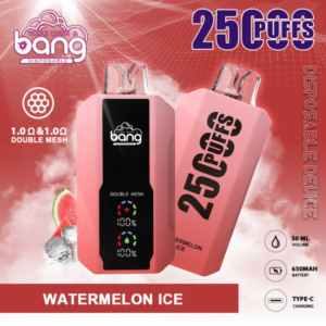bang 25000 puffs disposable vape
