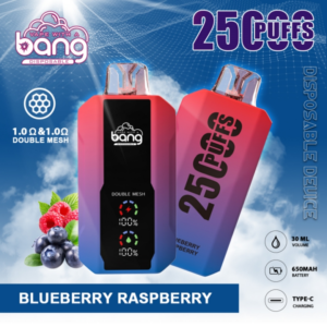 bang 25000 puffs disposable vape