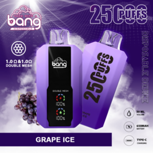 bang 25000 puffs disposable vape