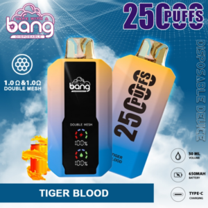 bang 25000 puffs disposable vape
