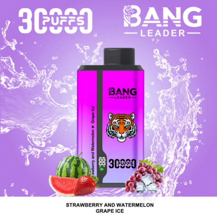 bang 30000 puffs 30k disposable vape dual