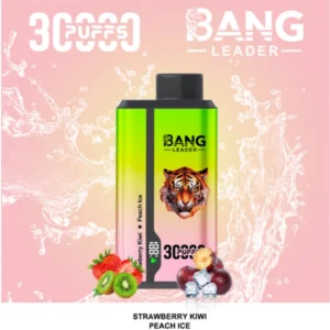 bang 30000 puffs 30k disposable vape dual