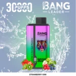bang 30000 puffs 30k disposable vape dual