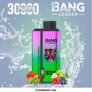 bang 30000 puffs 30k disposable vape dual