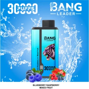bang 30000 puffs 30k disposable vape dual