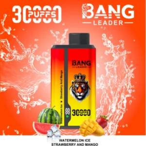 bang 30000 puffs 30k disposable vape dual
