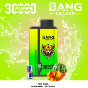 bang 30000 puffs 30k disposable vape dual
