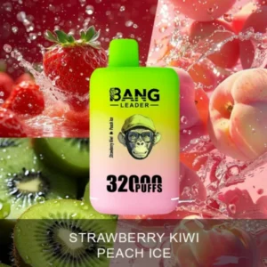 bang kingdoms 32000 puffs vape dual pod