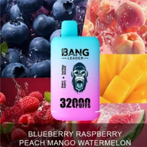 bang kingdoms 32000 puffs vape dual pod