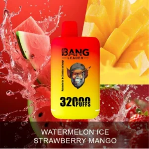 bang kingdoms 32000 puffs vape dual pod