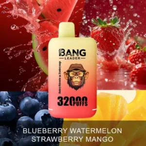 bang kingdoms 32000 puffs vape dual pod