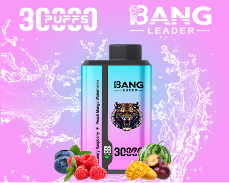 bangleader 30000 puff