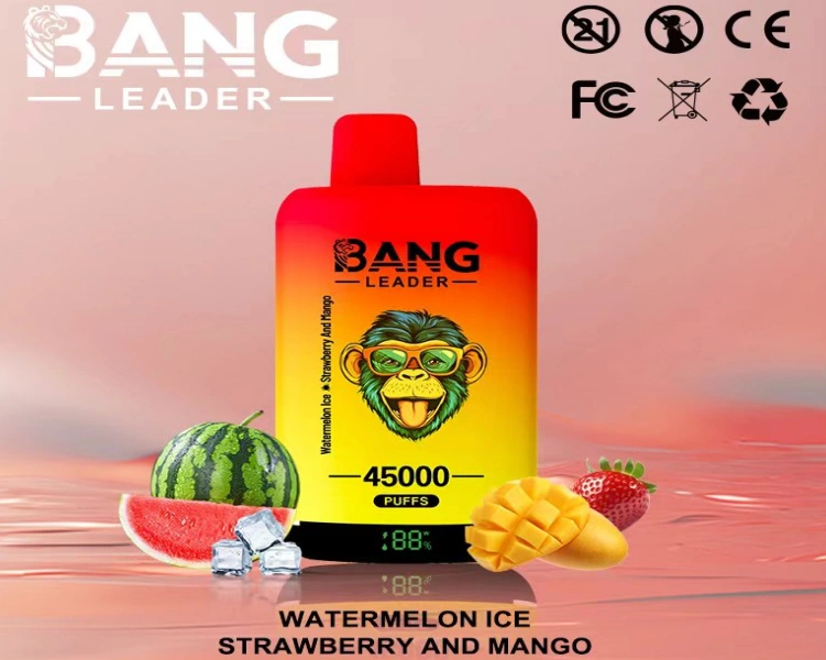 bangleader 45000 puff blog 1