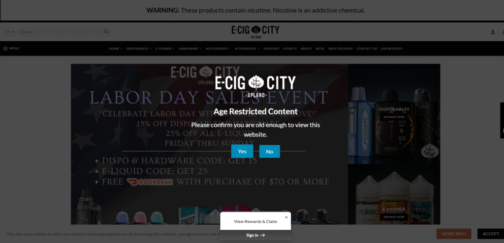  Ecigg City 