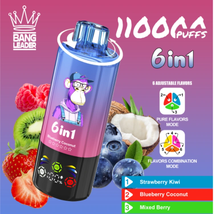 vape bang leader 110k puff 6 in 1 disposable vape