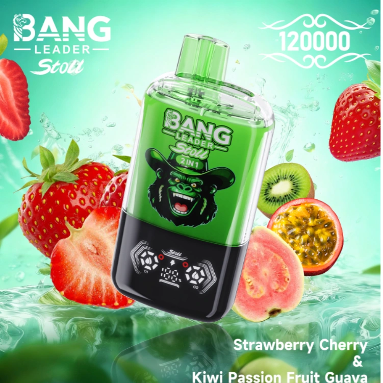 bang leader 120k dual flavor pod slide switch