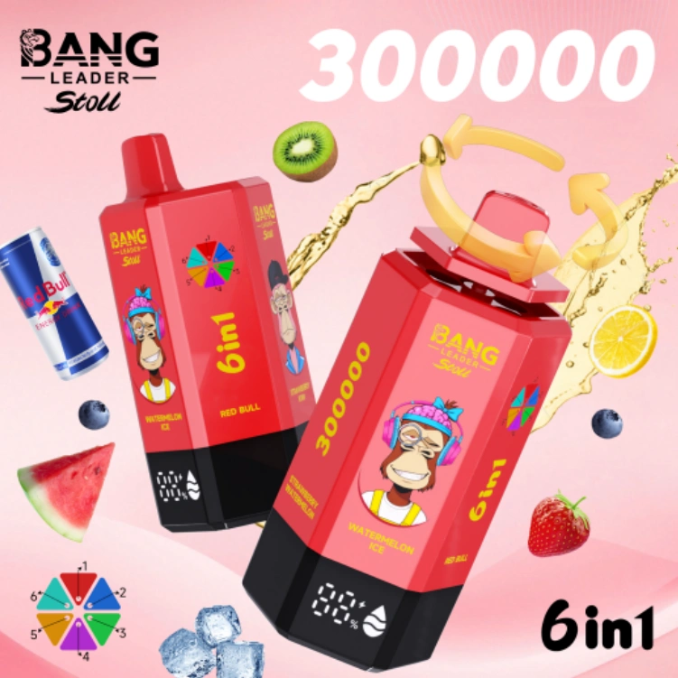 bang leader 300k puffs 6 in 1 disposable vape 