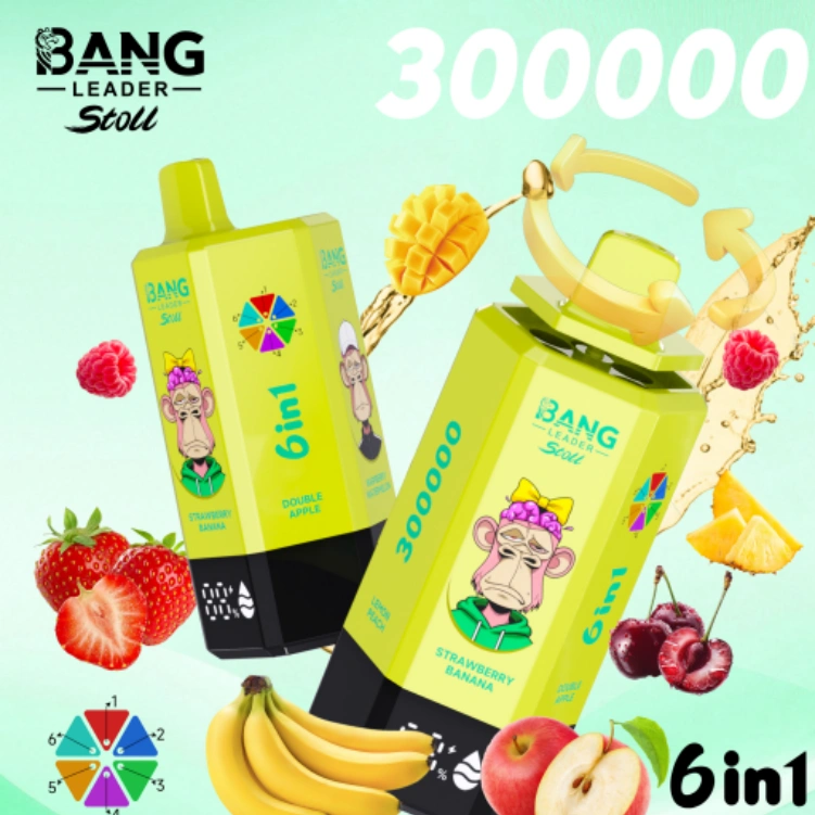 bang leader 300k 3